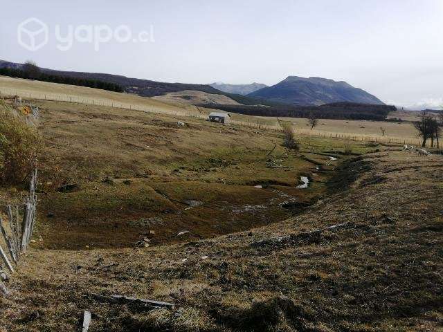 Parcela 1 hectárea sector san miguel - Imagen 6