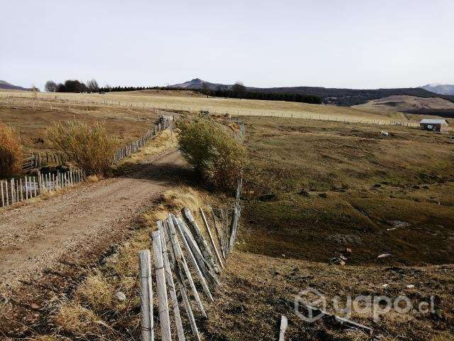 Parcela 1 hectárea sector san miguel - Imagen 10