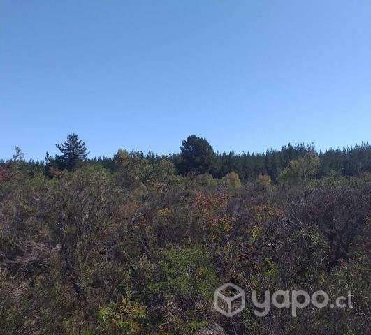 Se vende terreno 5000m2 - Imagen 2