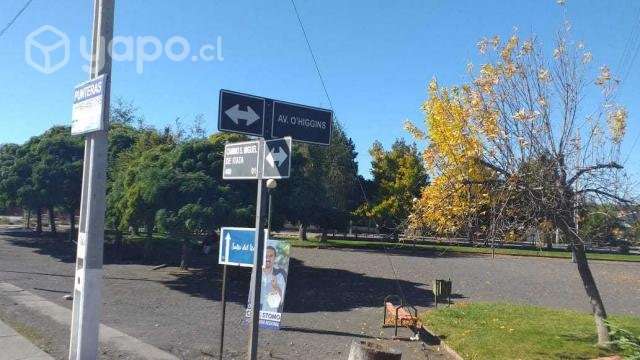 Se vende terreno 5000m2 - Imagen 5