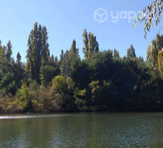 Se vende terreno 5000m2 - Imagen 3