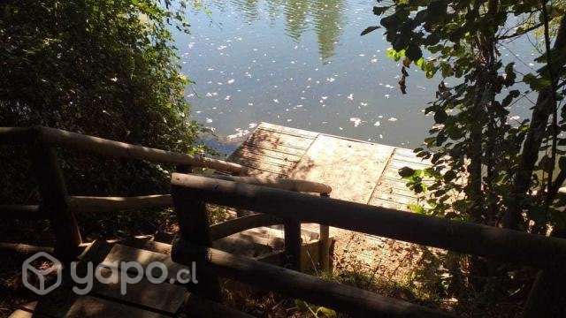 Se vende terreno 5000m2 - Imagen 8