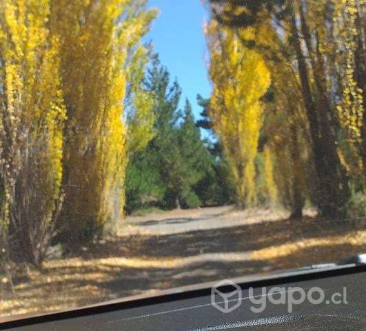 Se vende terreno 5000m2 - Imagen 6