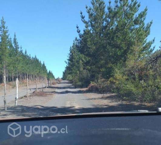 Se vende terreno 5000m2 - Imagen 4