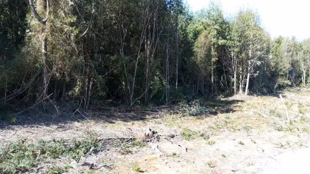 Parcela en puerto montt 5000m2