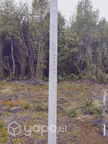 Parcela en puerto montt 5000m2