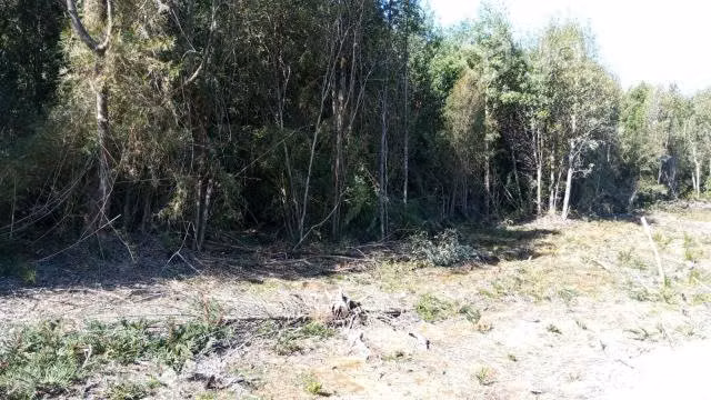 Parcela en puerto montt 5000m2