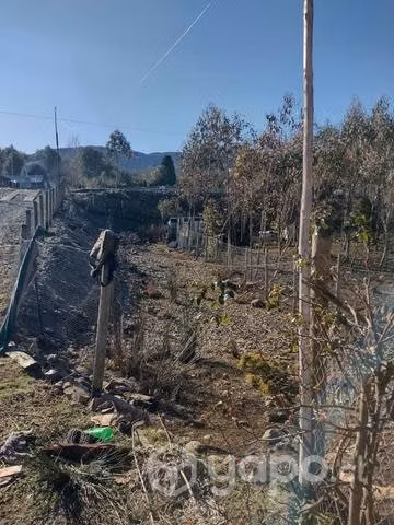 Casa con terreno