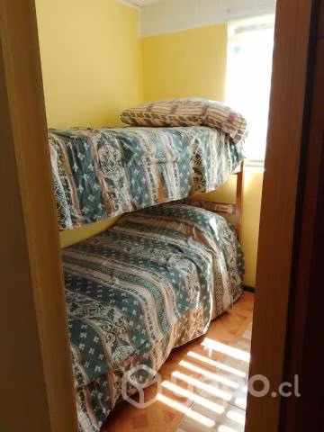 Amplio departamento en Pucon