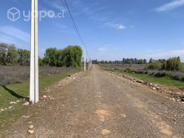 Vendo Parcela Camino Las Rastras, sector Peumo Neg - Imagen 8