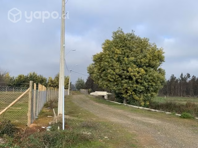 Vendo Parcela Camino Las Rastras, sector Peumo Neg - Imagen 3