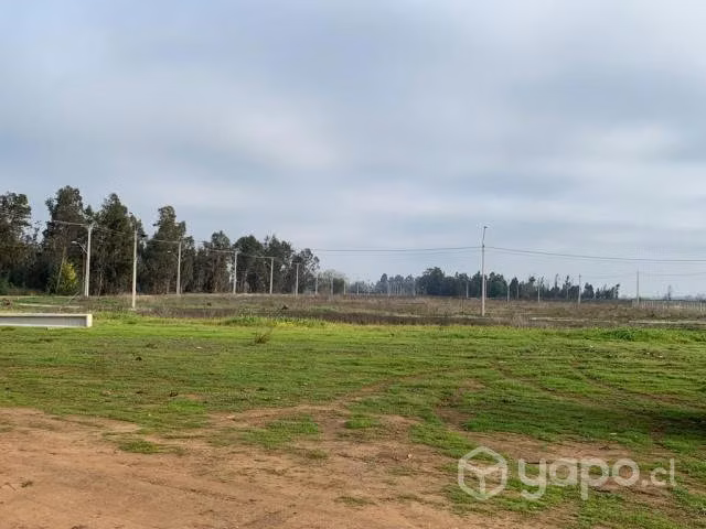 Vendo Parcela Camino Las Rastras, sector Peumo Neg - Imagen 12