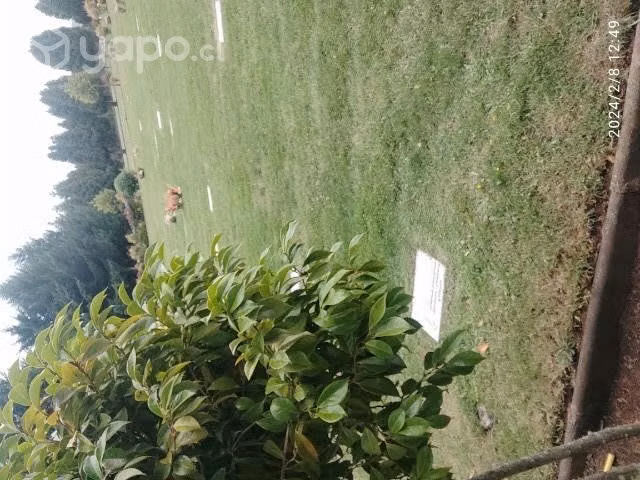 Sepultura parque jardin las flores
