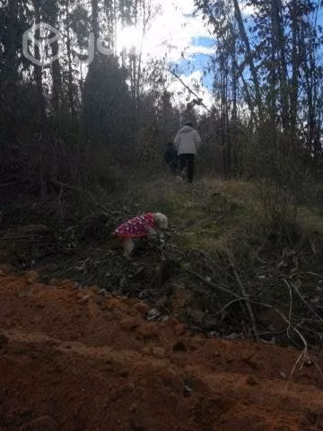 Vendo parcela proyecto salin a 143