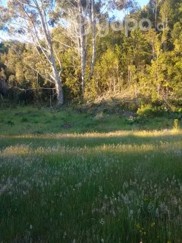 Hermosa tierra