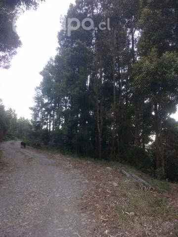 Hermosa tierra