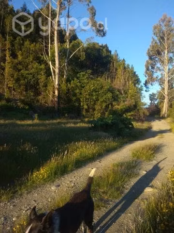 Hermosa tierra
