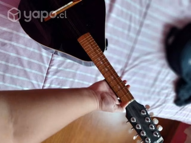 Instrumento Mandolina
