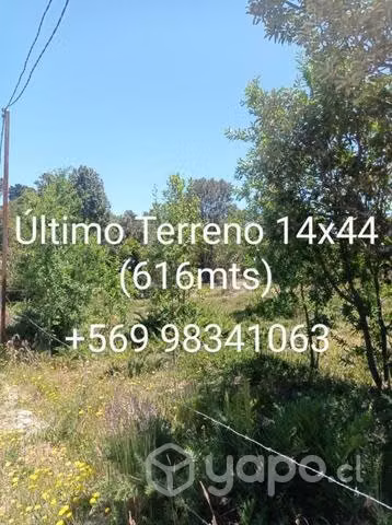Sitio Lagunitas Puerto Montt 14x44 (616 m²)