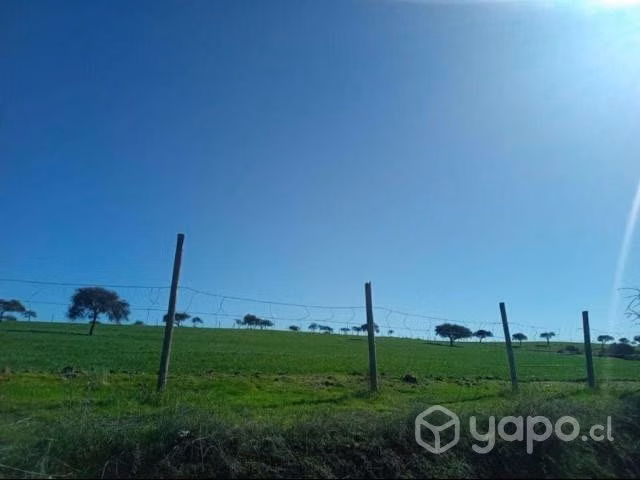 Se vende terreno de 5000 metros cuadrados