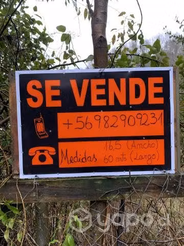 Terreno en licanray - Imagen 5
