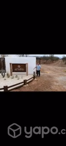 Parcelas con roll de 5000 mt2 c/u