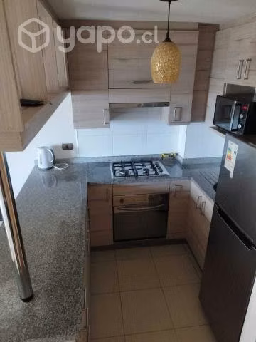 Arriendo Departamento Amoblado, Exclusivo a Ejecut