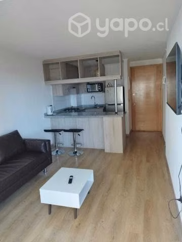 Arriendo Departamento Amoblado, Exclusivo a Ejecut