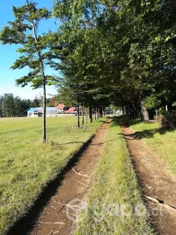 Venta de terreno - Imagen 5