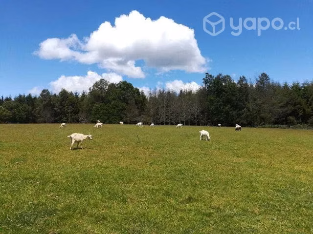Venta de terreno