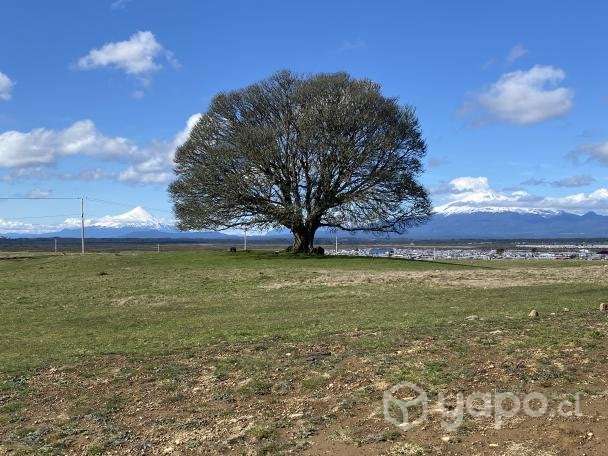 PARCELAS a 7 min de Puerto Varas - Imagen 12