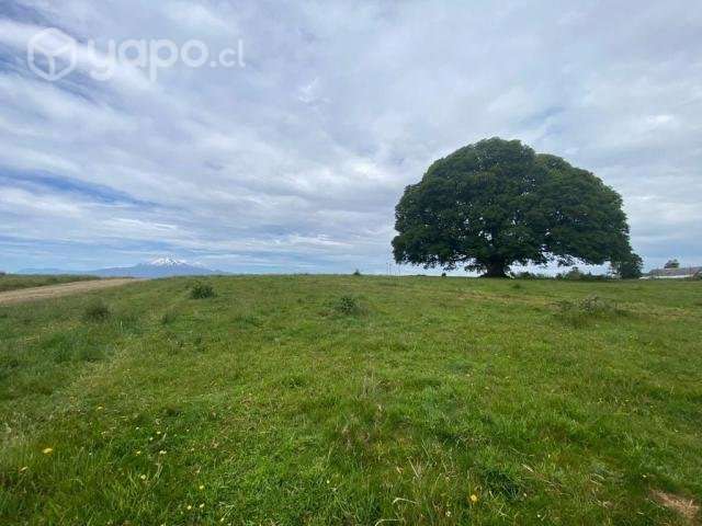PARCELAS a 7 min de Puerto Varas - Imagen 3