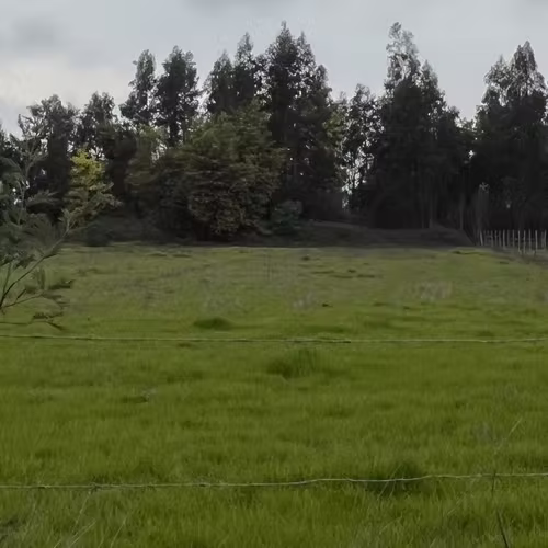 Terreno en Linares de media hectárea con luz y Agua