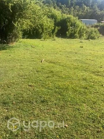 Vendo terreno con bosque nativo