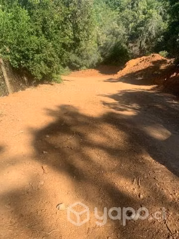 Vendo terreno con bosque nativo