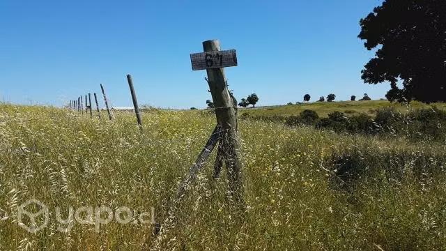Parcela Plana 5000 m2 El Convento Santo Domingo