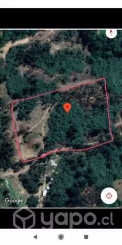 Terreno 3 ha. Yumbel