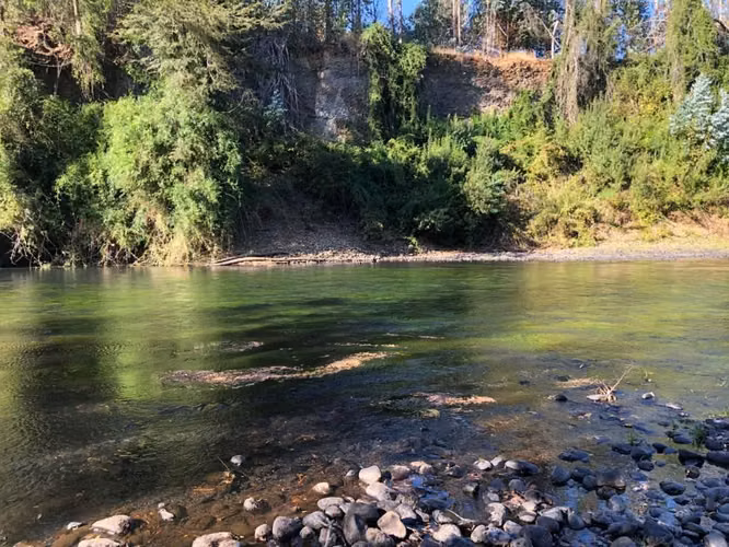 Parcela de 7340 m2 con casa y quincho a orillas del río Donguil