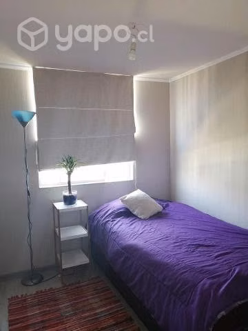 Arriendo departamento amoblado