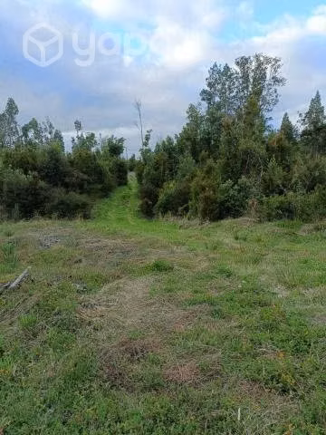 Vendo terreno en Quellon
