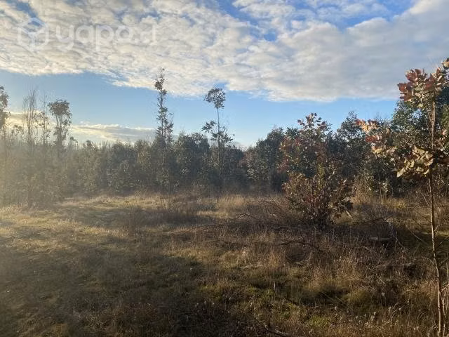 Parcela 5000m2 Laja
