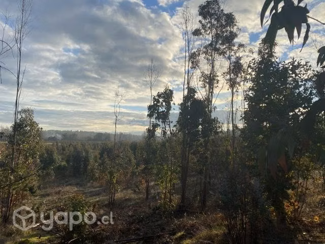 Parcela 5000m2 Laja