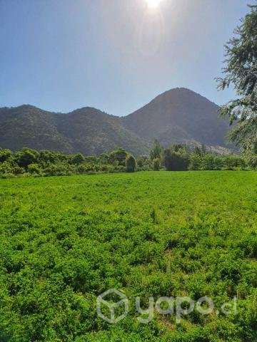 Terreno Rural Sn.Vicente - Imagen 5