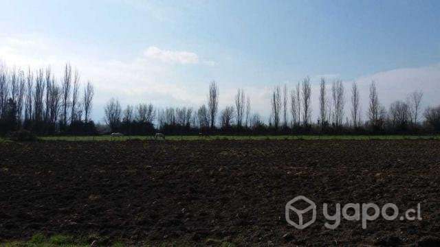 Terreno Rural Sn.Vicente - Imagen 3