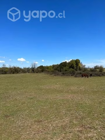 Se Venden Parcelas En Sector El Castillo De Yungay