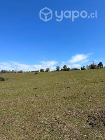 Se Venden Parcelas En Sector El Castillo De Yungay