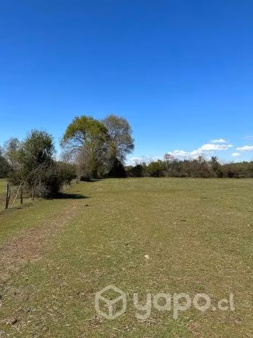 Se Venden Parcelas En Sector El Castillo De Yungay