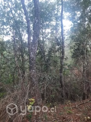 Terreno de 16 hectareas con 84 areas