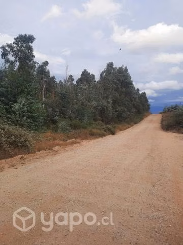Terreno de 16 hectareas con 84 areas