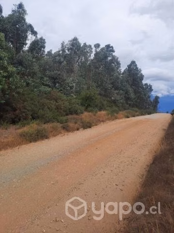 Terreno de 16 hectareas con 84 areas